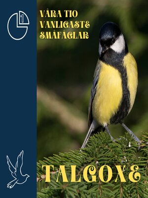 cover image of Talgoxe